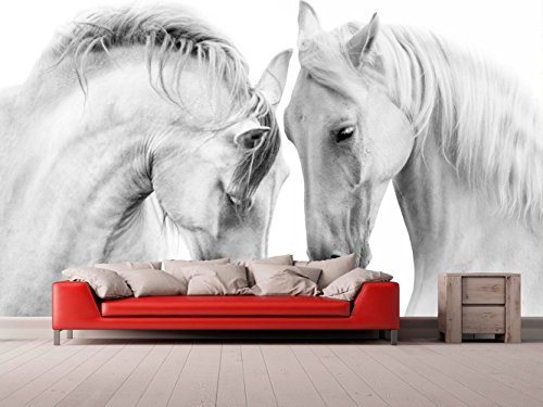 Fotomural Vinilo Para Pared Caballos Blancos | Fotomural para paredes | Mural | Vinilo Decorativo | Varias Medidas 100 x 70 cm | Decoración comedores, salones, habitaciones...