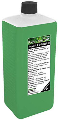 Engrais pour palmier Engrais ligne professionnel pour palmiers engrais pour racines + engrais pour feuilles HIGH-TECH !