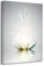 LZIMU Zen Bild auf Leinwand weiße Lotusblume Blüte im Wasser Kunstdrucke Wanddekoration Gerahmt graues Bilder für Yoga Spa Meditation spirituelle Raumdekoration(3, 60x90cm)