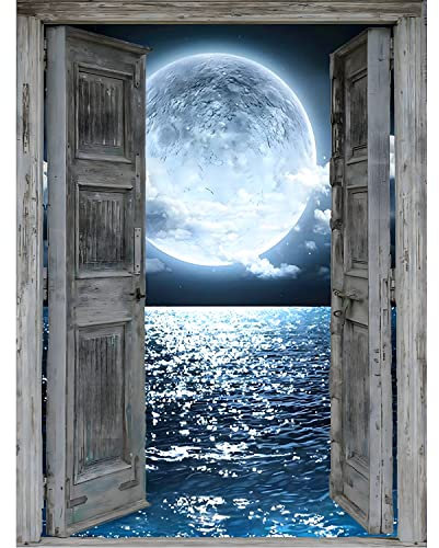 DPHERO DIY Mond Diamant Painting Bilder für Erwachsene Kinder,5D Mondnacht Diamond Painting Set,DIY Strass Bilder Meer Diamant Kunst Kits,Runde Steine Tür Diamant Painting für Zuhause Dekor 30x40 cm