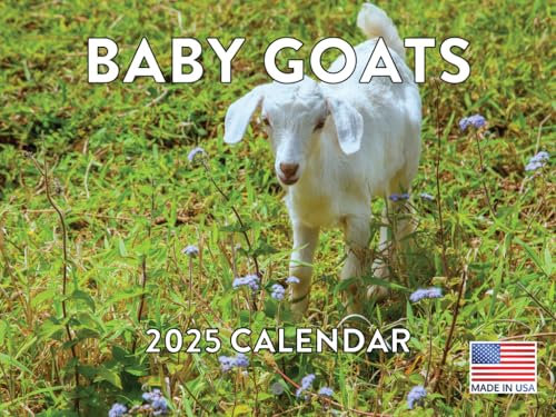Baby Goat Calendar 2024 Wall Calander Monthly 12 Month