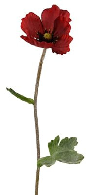 Künstliche Mohnblume mit Stiel 7x44cm - Kunstblumen Mohn - Deko Blumen für Blumendeko Blumenarrangement Tischdeko - Blumenschmuck Stielblume - Rot