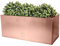 Primrose Frost and Rust-Resistant Outdoor Zinc Trough Planter in a Copper Finish 100cm