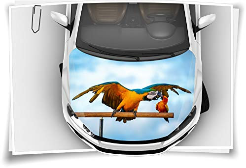 Medianlux Motorhaube Auto-Aufkleber Papagei Macore Vogel Asien Thailand Bunt Tiere Steinschlag-Schutz-Folie Airbrush Tuning Car-Wrapping Luftkanalfolie Digitaldruck Folierung