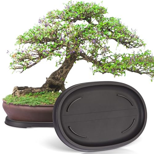 Pinkunn Bonsai-Feuchtigkeitstablett, Tropfschale, Kunststoff, Pflanzen-Wasserfänger, Untersetzer für drinnen und draußen, Kakteen, Sukkulenten, Bonsai-Baum, Stein nicht im Lieferumfang enthalten