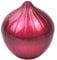 Récipient à légumes pour cuisine créative, oignon, ail, tomate, citron, vert réfrigérateur pour le stockage B