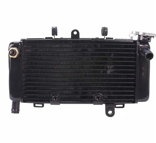 Compatible Con Magna250 Para JADE250 Motocicleta Aluminio Negro Radiador Enfriador Tanque De Agua De Enfriamiento Radiador Depósito Refrigerante Agua Desbordamiento Depósitos radiador motocicleta