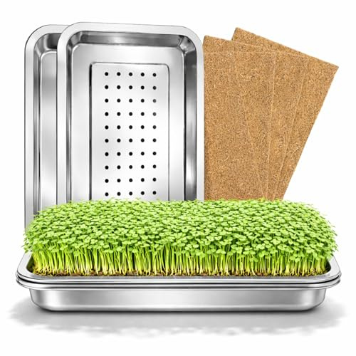 Friendly Fox 2er-Set Microgreens Anzuchtset, Keimschalen Set aus Edelstahl 31x21cm