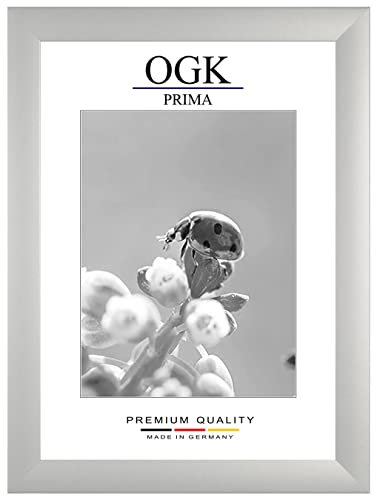 Online-GalleryKing Holz Bilderrahmen 30 x 45 cm in Silber matt | Foto | Poster | Puzzle | Galerie | Rahmen