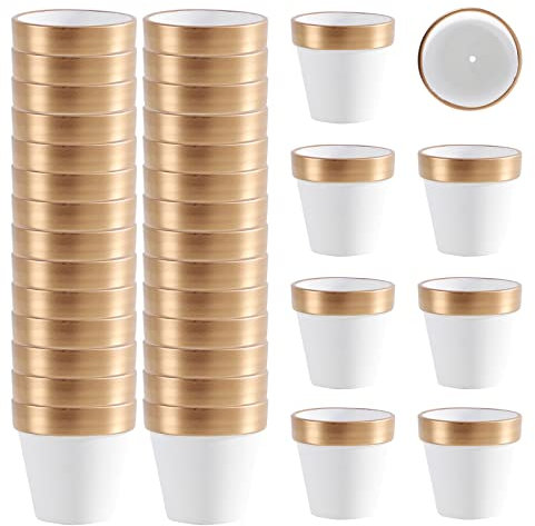 36 Stück kleine Mini-Tontöpfe in Weiß und Gold mit Drainagelöchern, 6.3 cm Terra-Cotta-Topf, Ton, Keramik-Pflanzgefäß, Sukkulenten-Kinderzimmer-Topf/Kaktus-Pflanztopf, Basteln, Hochzeitsgeschenk