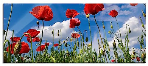 Pixxprint Glasbild Panorama, Wandbild aus Echtglas, Wiese mit Blumen, 120x50 cm, inkl. Aufhängung und Abstandshalter