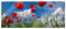 Pixxprint Glasbild Panorama, Wandbild aus Echtglas, Wiese mit Blumen, 120x50 cm, inkl. Aufhängung und Abstandshalter