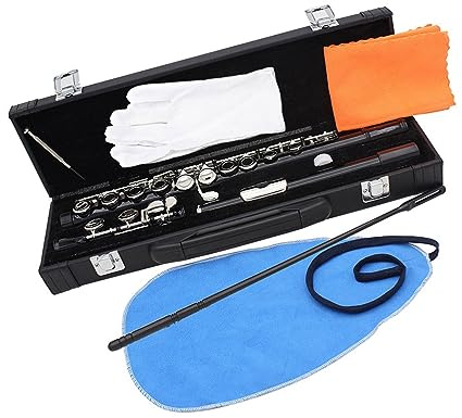 C-Taste 16-Loch-Handschuhe Für Professionelle Fife-Instrumente Mit Geschlossenem Loch Und Box Flöteninstrument (Color : Silver)