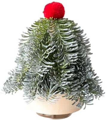 Générique Christmas Tree Box | Festive Winter Holiday Decoration - Christmas Rotating Box - For Girls Boys Daughter Sister Granddaughter Mom Dad