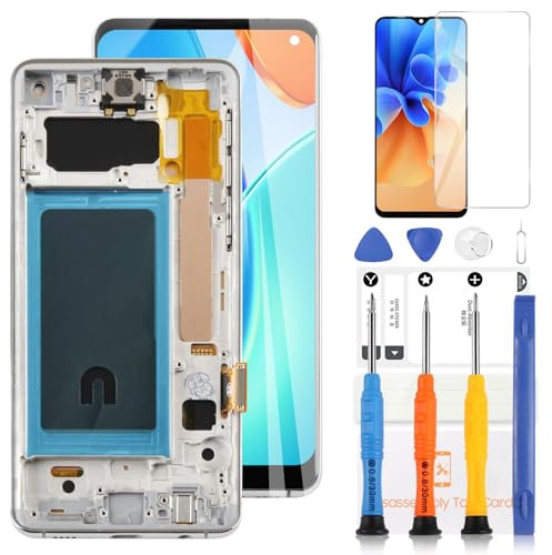 LADYSON Écran LCD TFT pour Samsung Galaxy S10 G973 SM-G973F SM-G973U SM-G973W SM-G9730 Remplacement de l'écran LCD Écran Tactile Digitizer Assemblée avec Outils(6.1 Blanc)