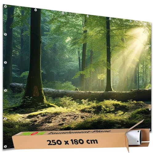 TRIOSK Sichtschutz Garten Deko Zaun Plane Blickdicht groß mit Zaunblende Motiv Waldplatz Wald Sonnenspiel für Zaunelement Doppelstabmatten Stabmattenzaun Gartenzaun PVC 250x180 cm