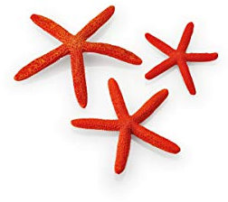 biOrb 48356 Seestern Set 3 rot – Aquarien-Dekoration in Seestern-Form, naturnahe Ornamente, für alle biOrb Modelle