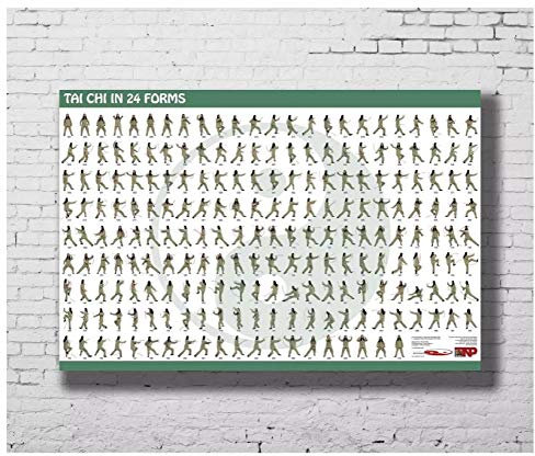 MGSHN Tai Chi In 24 Formen Medizinische Entspannung Seltene Kunst Poster Wandkunst HD-Druck Auf Leinwand Kunstwerk Geschenk Schlafzimmer Dekoration-60x90cm Kein Rahmen