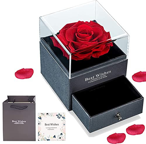 Vera Rosa eterna, Confezione Regalo di Gioielli in Rosa Conservati a Mano, Rosa Stabilizzata, Rosa Stabilizzata Vera con Borsa Regalo e Biglietto di Auguri Scritto a Mano Regali per San Valentine