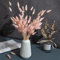 120 x Getrocknete Pampasgras Pampas Deko Trockenblumen Trockenblumenstrauß Natürliche Blumendekoration Gräser für Hochzeit Innendekoration Schlafzimmer Wohnzimmer (Rosa)