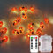 KINGCOO 9.8ft 30Led Marienkäfer Kupferdraht Fee Dekorative Lichterketten Batteriebetriebene mit Remote Timer für Sommer Kinder Schlafzimmer Valentinstag Weihnachten Hochzeit Party DIY Dekorationen