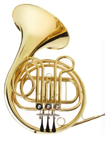 XSQKUYN Waldhorn French Horn In Bb Waldhorn B Dur Stimmung Vierstimmiges EIN Und Zweireihiges Blechblasinstrument(B 710)