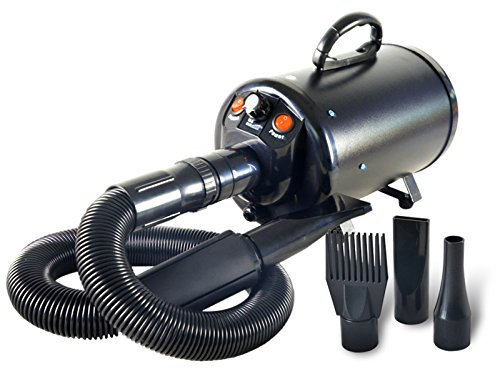 Gravitis 2800W Professional Pet Dryer - Quiet and Powerful Dog Grooming Tool with Adjustable Temperature, Multiple Nozzles, and Long Hose for Efficient Styling and Drying