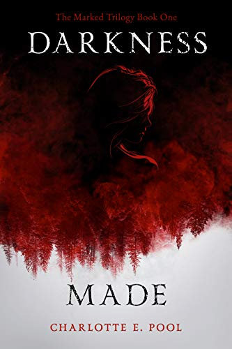 Darkness Made: Book One of The Marked Trilogy (English Edition)