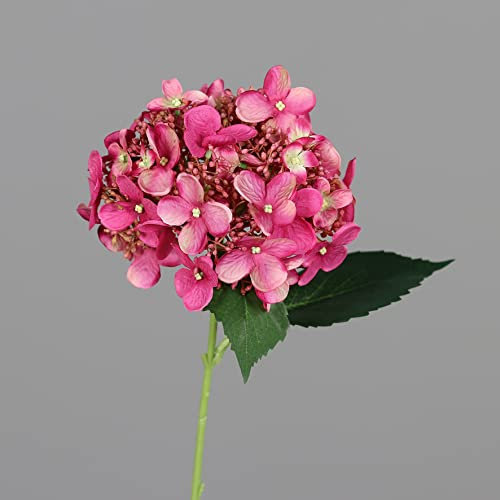 Sommer Hortensie 52cm DP Kunstlbumen künstliche Blumen Hortensien Hydrangea (Fuchsia)