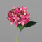 Sommer Hortensie 52cm DP Kunstlbumen künstliche Blumen Hortensien Hydrangea (Fuchsia)