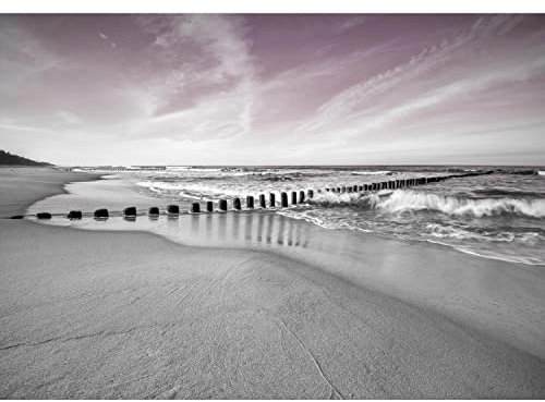Runa Art Fototapete Strand Meer 352 x 250 cm Vlies Tapeten XXL Moderne Wandtapete Wohnzimmer Schlafzimmer Rosa Grau 9488011b
