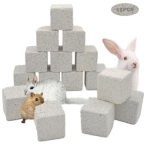 kathson Natural Rabbit Teeth Grinding Stones,15 Pcs Chinchilla Teeth Grinding Toys Lava Stone for Rabbits Hamster Chew Stones Small Animal Mineral Calcium Lava Blocks for Chinchillas Guinea Pig Rat