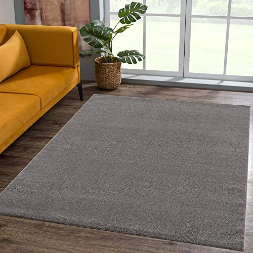 SANAT Kurzflor Teppich Wohnzimmer - Uni Modern Teppiche fürs Schlafzimmer, Arbeitszimmer, Büro, Flur, Kinderzimmer und Küche - Grau, 80 x 200 cm