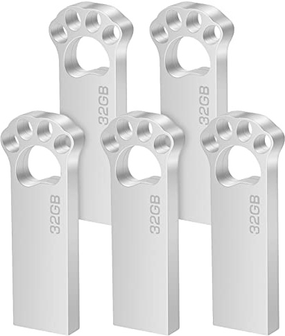 USB Stick 32GB 5 Stück Mini Speicherstick 32 GB USB 2.0 Flash Drive Wasserfest Pen Drive 32GB mit Schlüsselanhänger für Schule Büro Auto PC Laptop (Silber)