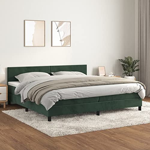 INLIFE Boxspringbett mit Matratze Dunkelgrün 200x200 cm Samt,Grün,80.78KG,3141206