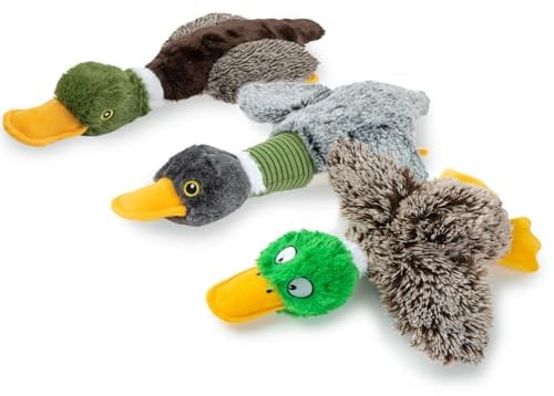 Best Pet Supplies Interactive Mallard Mates Dog Toy with Crinkle and Squeaky Enrichment for Small and Medium Dogs - Mallard Duck (Gray, Gray, Brown), Small