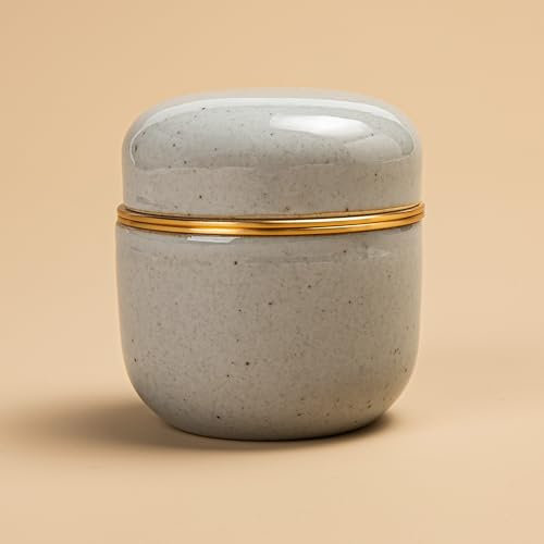 TEANAGOO Keramische Teedose Japanischer Matcha Grüner Tee Pulver Dose Tee Pulver Dose Matcha Pulver Kit X2, Dunkelgrau, Versiegelte Keramik Dose für Matcha Pulver, Color Box Verpackung.