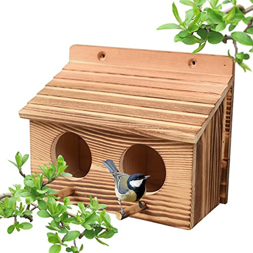 Nistkasten Bausatz Rotkehlchen, Nistkasten für Meise, Vogelhaus Wetterfest aus Holz, Vogelhäuschen Zum Aufhängen Blaumeise Wellensittich aus Massiv Holz mit 45mm Einflugloch Vogelfutterhaus Brutkasten