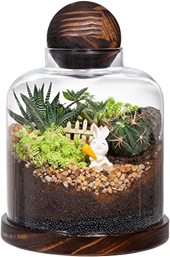 Yangbaga Tarro de cristal con tapa para plantas – Cultiva tu propio terrario de vidrio grande o decoración del ecosistema (plantas no incluidas)
