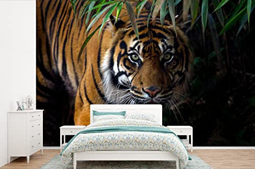 Selbstklebend Tapete Wandpapier Wandaufkleber Fototapete Tapeten Wanddeko 420x280 cm Tiger - Blätter - Dschungel - Tiere - Wild