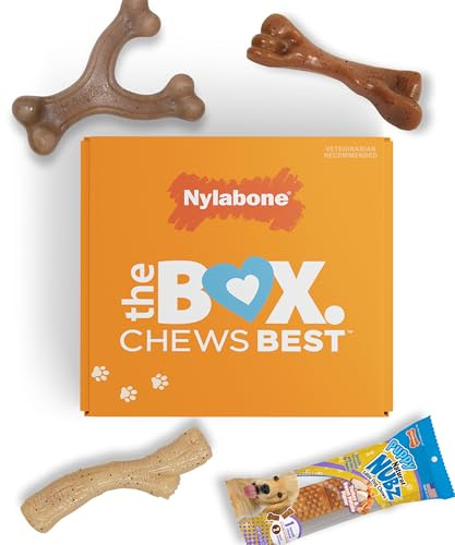 Nylabone Hundespielzeug-Geschenkbox, enthält 3 Starke Kauspielzeuge und 1 Hundeleckerli, Kauspielzeug für Welpen, klein/normal (4 Stück)