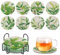 Acboor Diamond Painting Untersetzer, 8 Stück DIY Diamond Untersetzer mit Halter Dekorative Grüne Blätter Hölzern Untersetzer mit Diamond Painting Kit für Erwachsene Kinder Anfänger