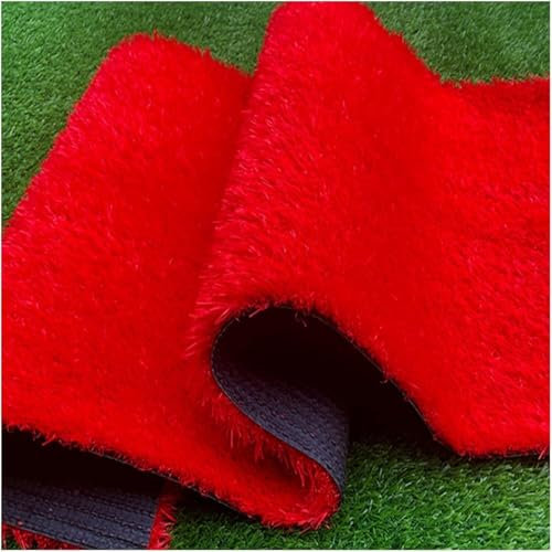 WaiDXn Gazon Artificiel, Rouleau de Gazon en Fausse Herbe, Trous de Drainage, Tapis d'intérieur et d'extérieur en Fausse Herbe, Tapis Astro 1 * 10m