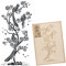 NAKLEO Pochoir pour Peinture Murale Grand Format 43x89cm, Modèle en Plastique et Réutilisable, Chinoiseries Paon Oriental Arbre, DIY Bricolage Artisanat Décoration a Peindre, Bois Tissu Mueble