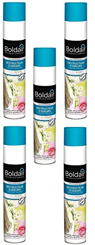 BOLDAIR Lot de 5 Aérosols 500 ml Désodorisant destructeur d'odeurs Fleurs boisées