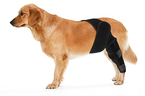 KINBOM Protector de Rodilla para Perros, Soporte para Patas Traseras de Perro Soporte para ACL para Perros Soporte para Rodillas para Perros para Patas Traseras para Perros (Negro, Talla M)