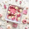 Aslanka Kuchen- und Cupcake-Box, 6-Zoll-Kuchen und 5 Cupcake-Boxen, 5 Sets mit Einer Breiten Rolle Band für Familienessen, Geburtstagsparty, Picknick