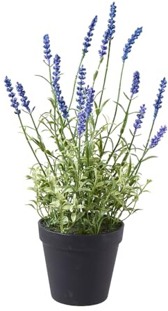 Klocke Dekorationsbedarf Künstlicher Lavendel im Topf - Täuschend echte Kunstpflanze - Hochwertiger Lavendelbusch in Schwarzem Dekotopf - Ideal für Balkon, Bad & Wohnzimmer (Lavendel, Höhe: 37 cm)