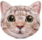 Intex Ile Cat Gonflable
