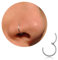 Nasenring Silber dünn Nasenpiercing Ring Titan für Damen Herren 18G Septum Tragus Conch Piercing Knorpel Ohrringe Lippenpiercing Nasen Piercing Ringe Schmuck 6mm/7mm/8mm/9mm/10mm (Silbern 18g, 8mm)